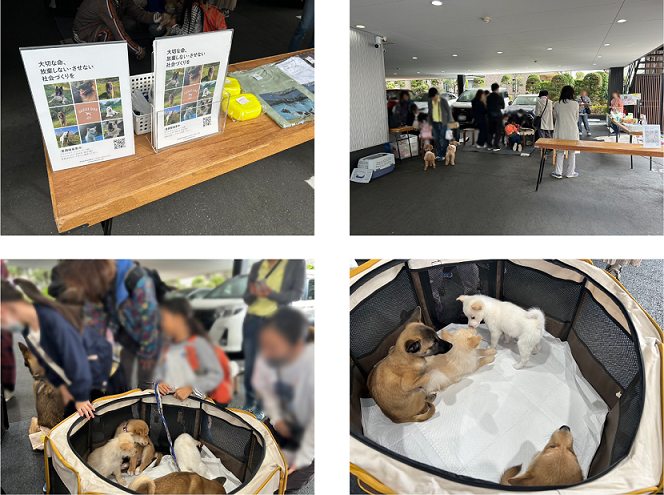 セレモホール金沢文庫にて保護犬譲渡会が行われました！